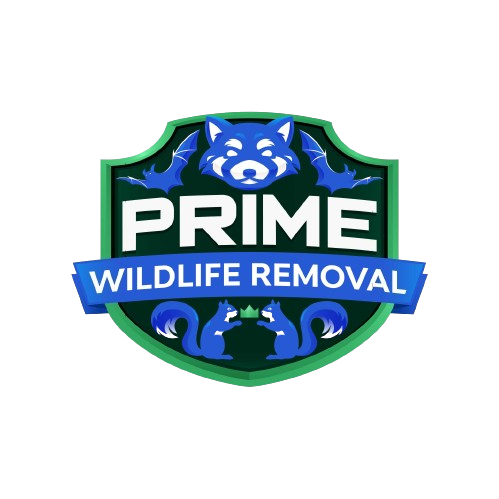 Cross Exterminators